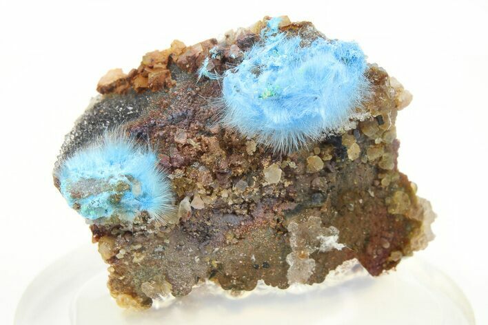 Vibrant Blue Cyanotrichite Crystal Aggregates - China #274139